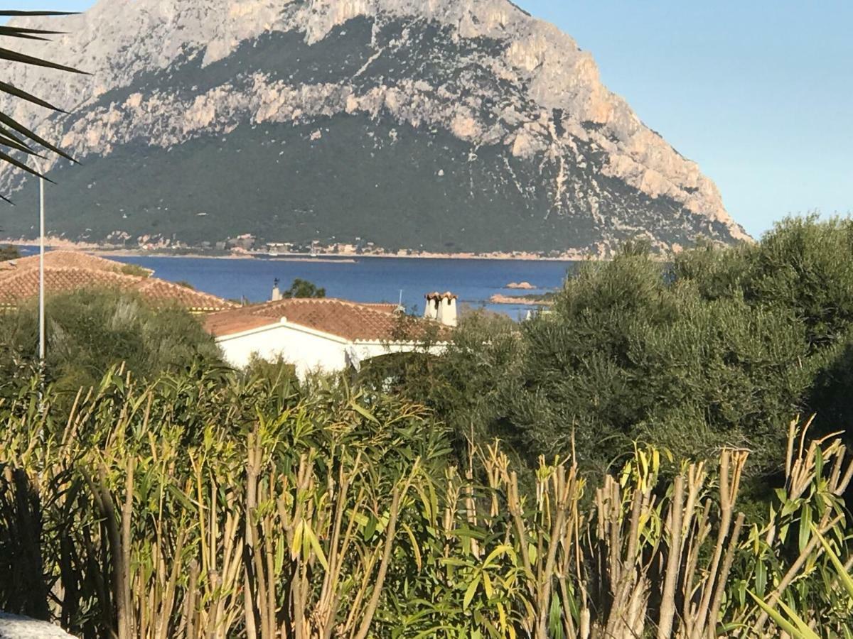 Le Case Del Mare Loiri Porto San Paolo Exterior foto